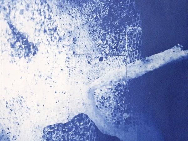 Exposition Cyanotype - Brigit Ber