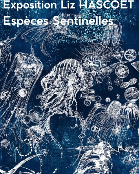 Exposition Liz Hascoët