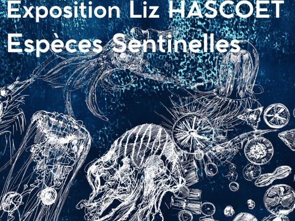 Exposition Liz Hascoët