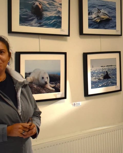 Exposition de photos