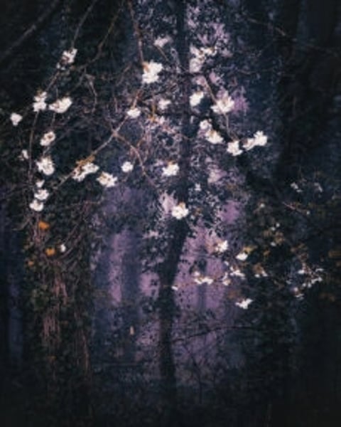 Anna Moon, mon monde dans vos yeux