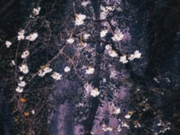 Anna Moon, mon monde dans vos yeux