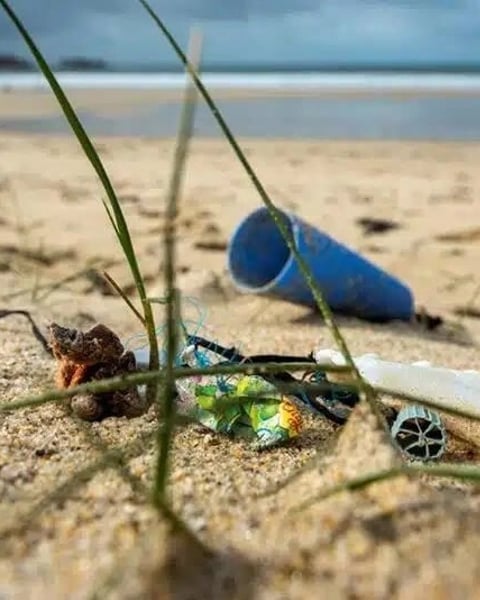 Plastik panic dans l'océan
