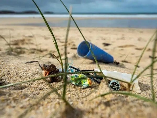 Plastik panic dans l'océan